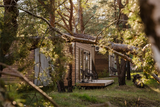 Балтийские Холмы