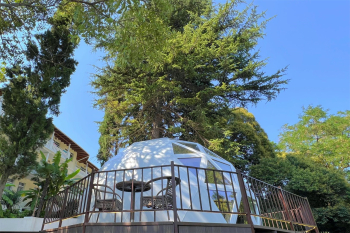 Глэмпинг — фото 1