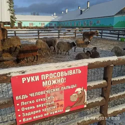 Экскурсии — фото 2