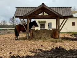 Ферма — фото 3