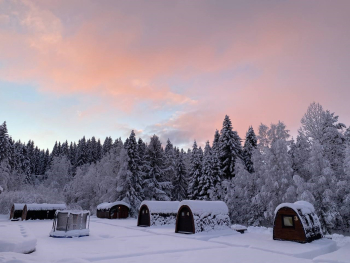 Арочный домик на краю леса с торцевым входом — фото 14
