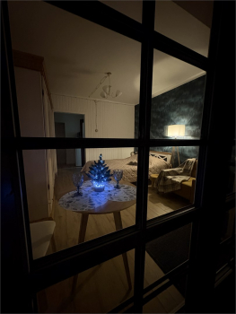 Твинхаус с видом на лес — фото 15