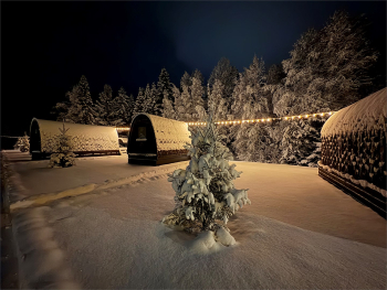 Арочный домик на краю леса без душа — фото 3