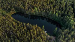 Водоем — фото 1