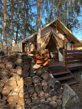 Комфортный сафари - тент с видом на лес (24 м.кв) — фото 1