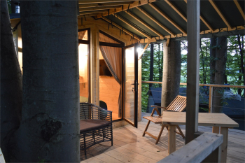 Домик на дереве — фото 26