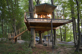 Домик на дереве — фото 2