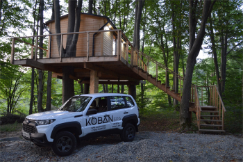 Домик на дереве — фото 6