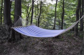 Домик на дереве — фото 28