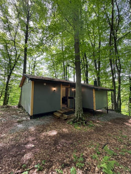 Домик в лесу N1 — фото 1