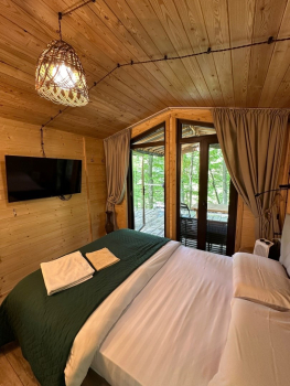 Домик на дереве — фото 4