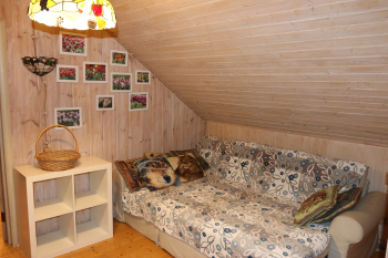 Дом шале с баней — фото 6