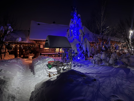 Баня Дом Мишуткино — фото