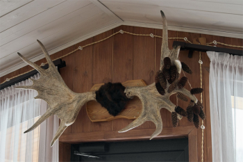 Дом Лосиный — фото 9