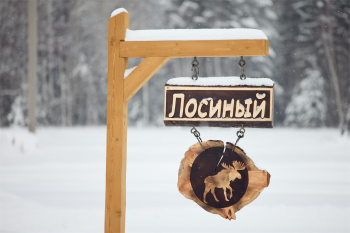 Дом Лосиный — фото 16