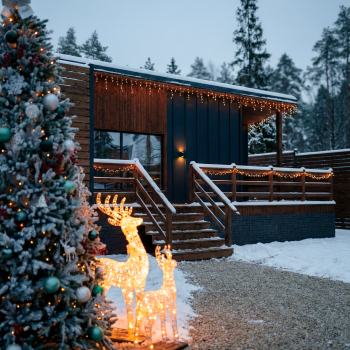 Березовая роща — фото 1