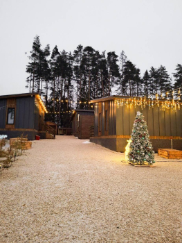 Лесная гавань — фото 11