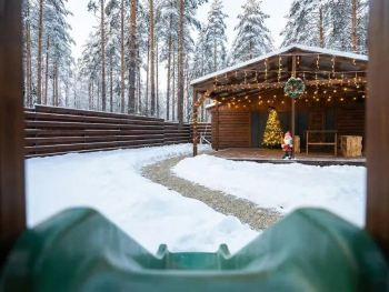 Березовая роща — фото 2