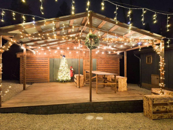 Березовая роща — фото 14