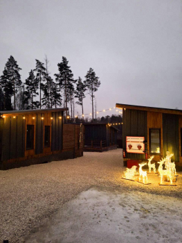 Лесная гавань — фото 12