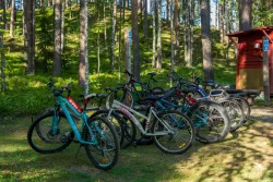 Велопрогулки — фото 1