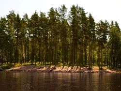 Водоем — фото 3