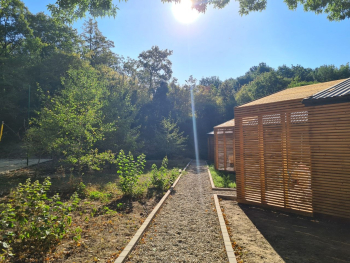 2-х комнатный коттедж с видом на лес — фото 2