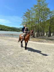 Конные прогулки — фото 1