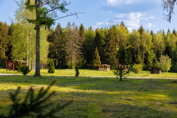 Солнечный 1 — фото 14