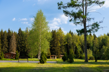 Солнечный 1 — фото 15