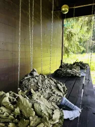 Баня — фото 2