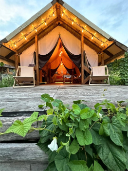 Тент - хаус  — фото 16