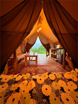 Тент - хаус  — фото 4