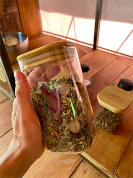 Тент - хаус  — фото 10