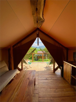 Тент - хаус  — фото 12