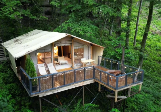 Дзен Поляна