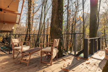 Сафари Панорама — фото 8