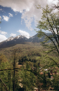 Сафари Панорама — фото 15