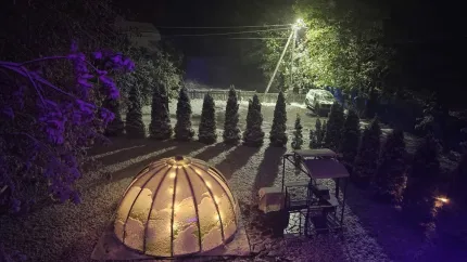 Шишкино-парк аэропорт Домодедово — фото