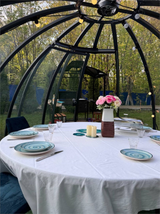 Шишкино-парк аэропорт Домодедово — фото