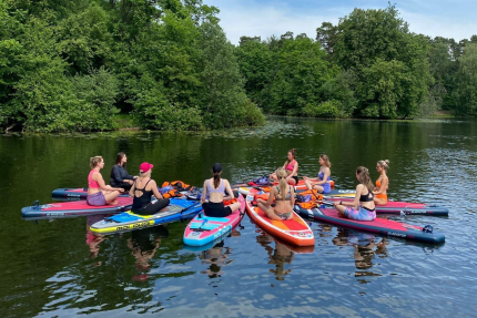 Шишкино-парк аэропорт Домодедово — фото
