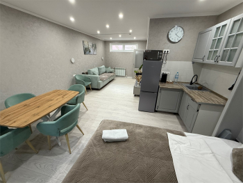 Апартаменты-студия (отдельный дом) — фото 9