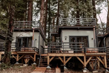 Дзен Рекавери — фото