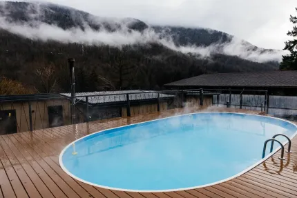 Дзен Рекавери — фото