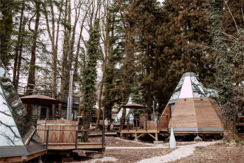 Типпи — фото 5