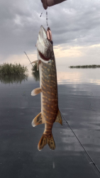 Рыбалка — фото 1