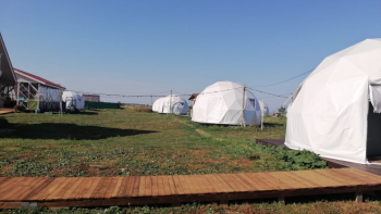 Купол Стандарт Забота — фото 4