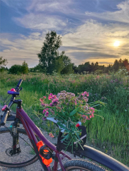 Велопрогулки — фото 1