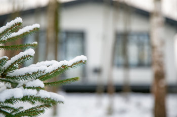 Дом целиком — фото 20