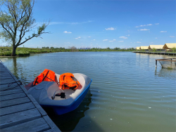 SUP-серф — фото 2